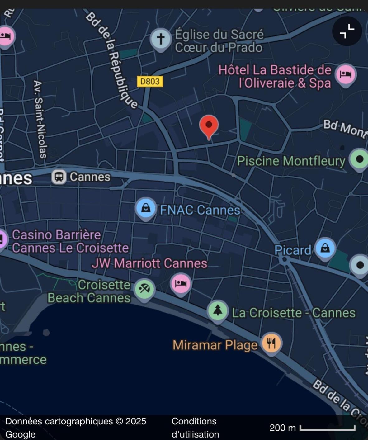 Le Petit Carlthon Appart Cannes Esterno foto